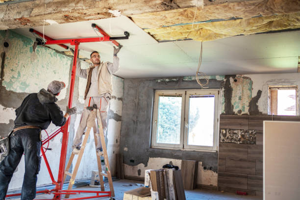 Types of Insulation We Offer in Baudette, MN
