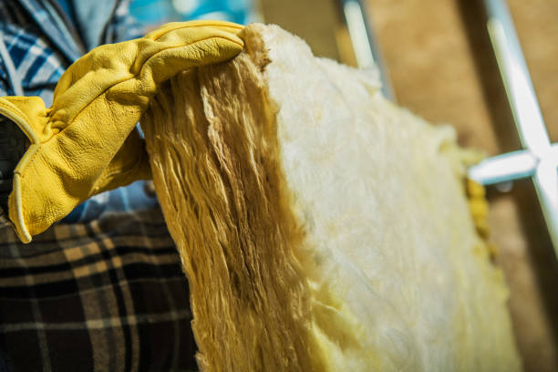 Best Fiberglass Insulation in Baudette, MN