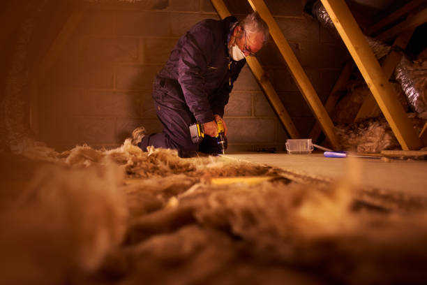 Best Energy Efficiency Insulation in Baudette, MN