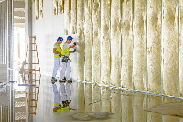 Best Fiberglass Insulation in Baudette, MN